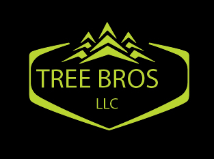 Tree Bros LLC