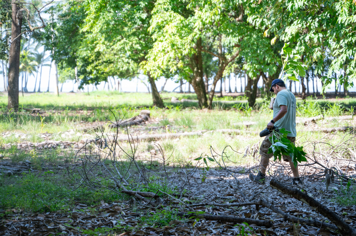 We only plant important trees that provide food for sloths and other wildlife!