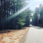 Cancer Diagnosis Day = Long Run in the Mountains