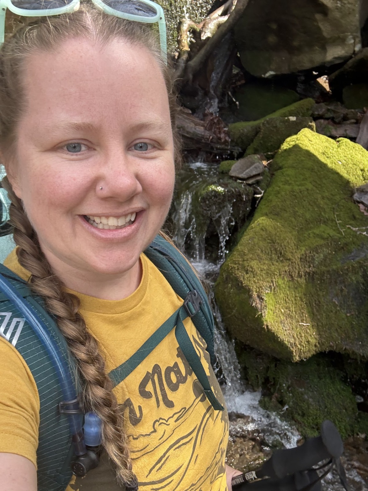 Along Trillium Gap Trail