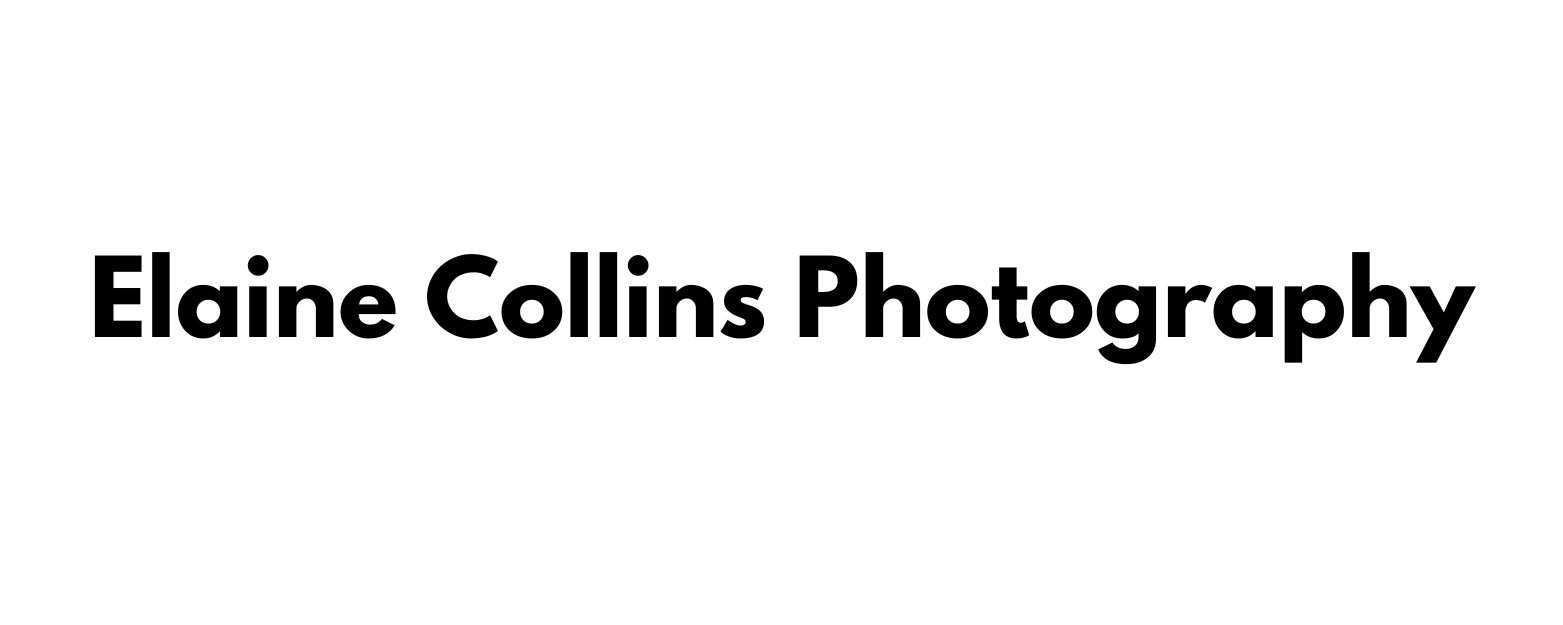 Elaine Collins Photography