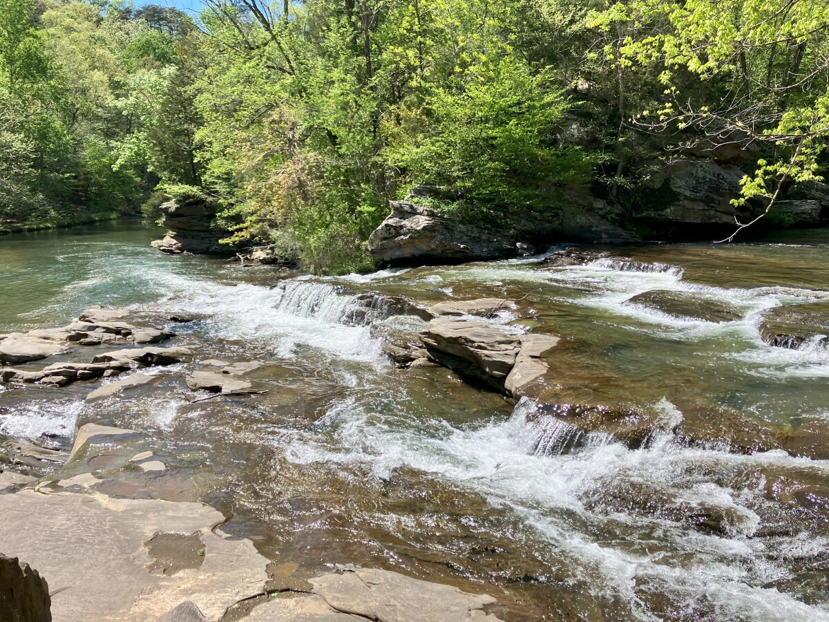 Turkey Creek (opened 2009): Protecting One of Alabama's Natural Treasures