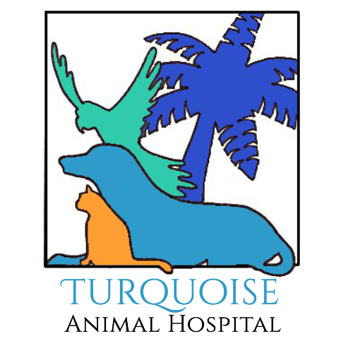 Turquoise Animal Hospital