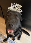 I two years old!
