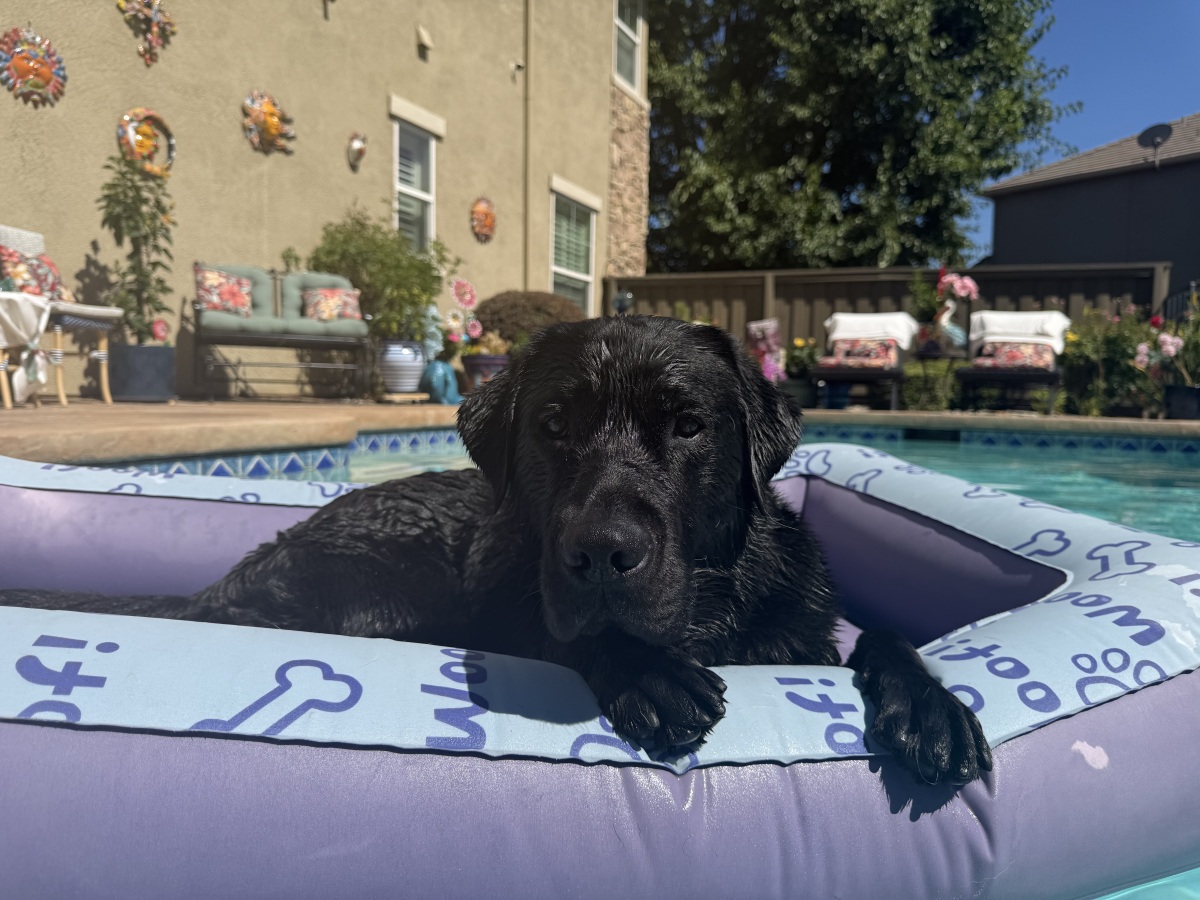 Chilling in Lilly's Lily Pad!