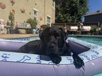 Chilling in Lilly's Lily Pad!