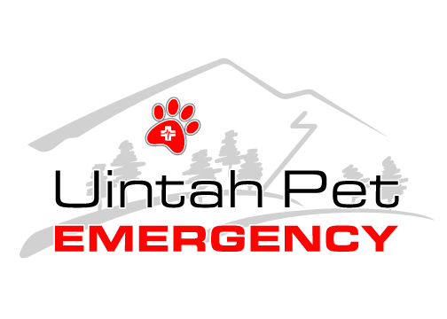 Uintah Pet Emergency