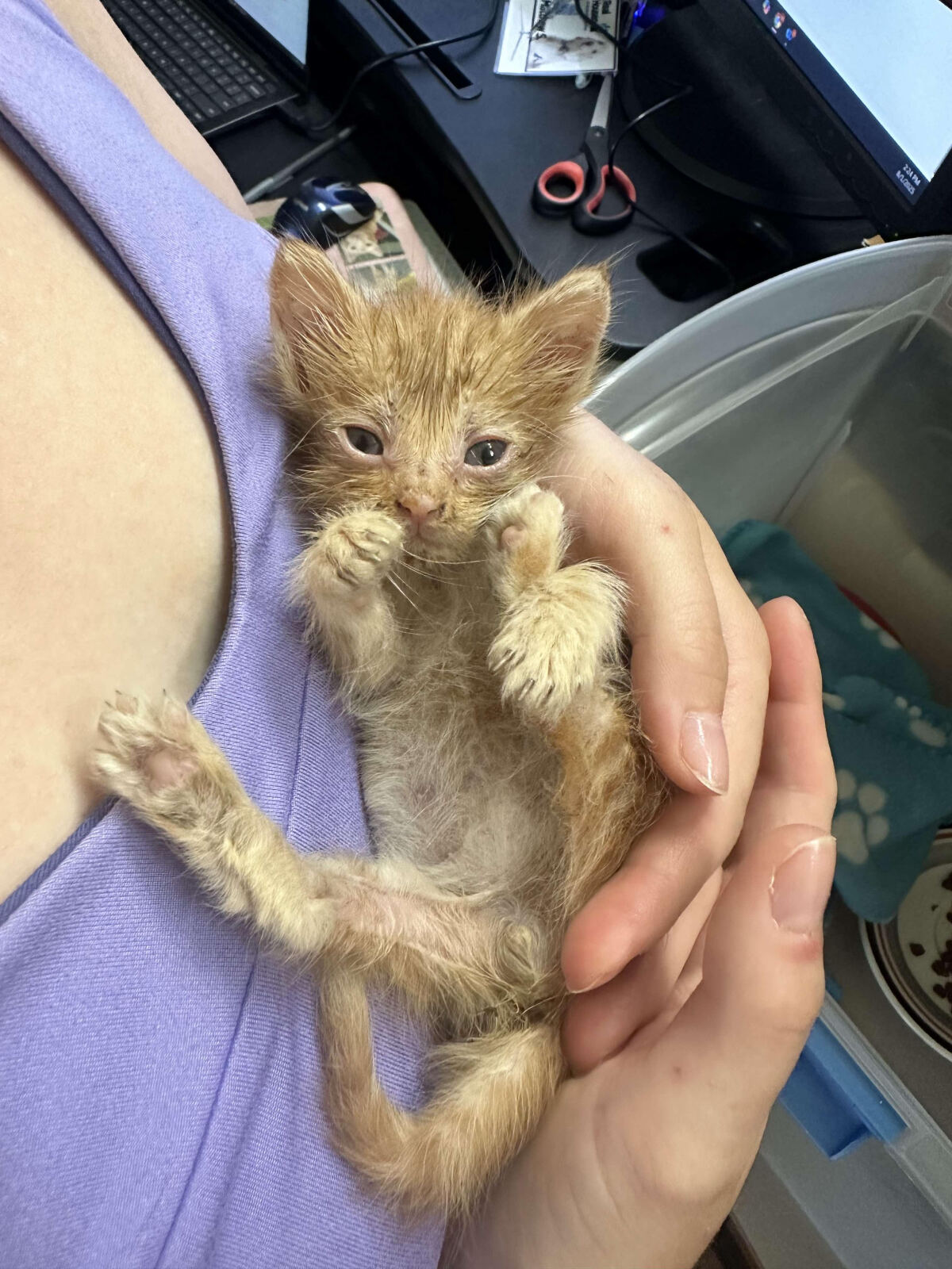 Getting a second chance