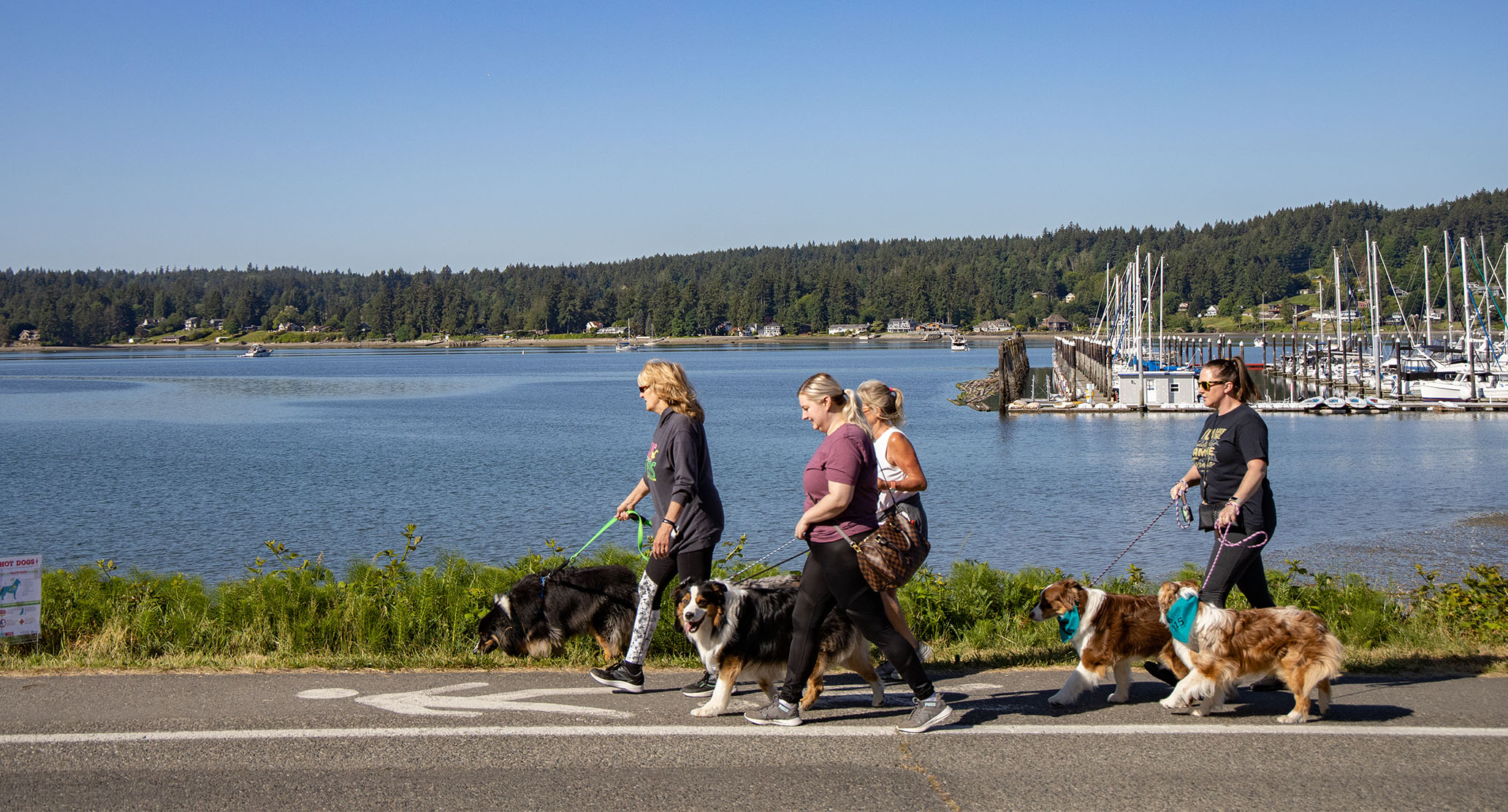 PetsWALK 2024