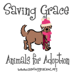 Saving Grace Animals for Adoption