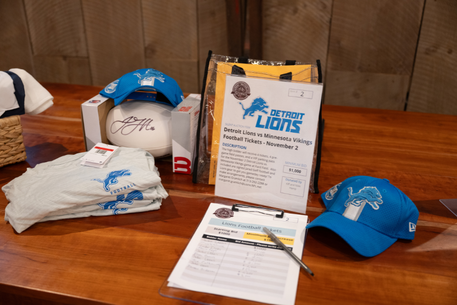 Silent Auction: Lions Game Package!