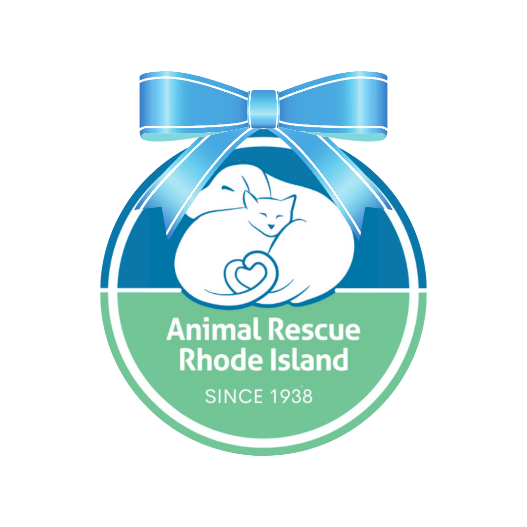 Animal Rescue Rhode Island