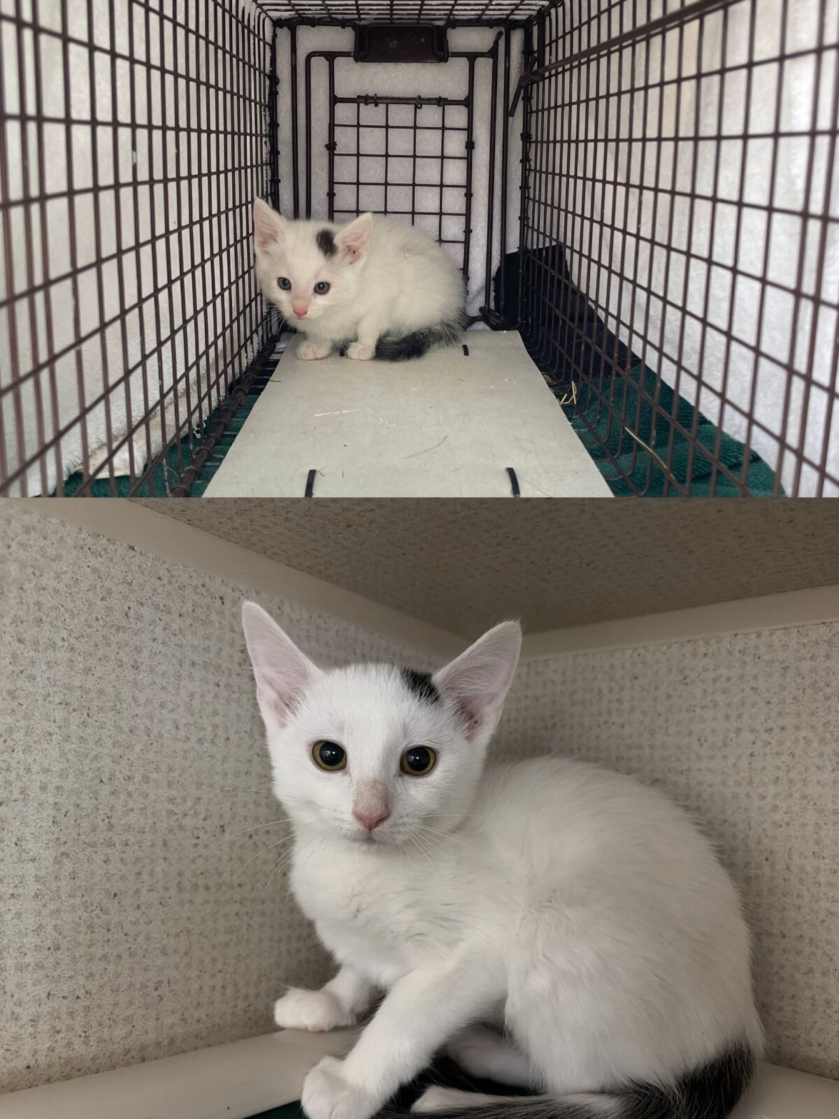 All Grown Up!