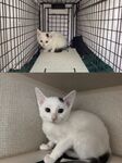 All Grown Up!