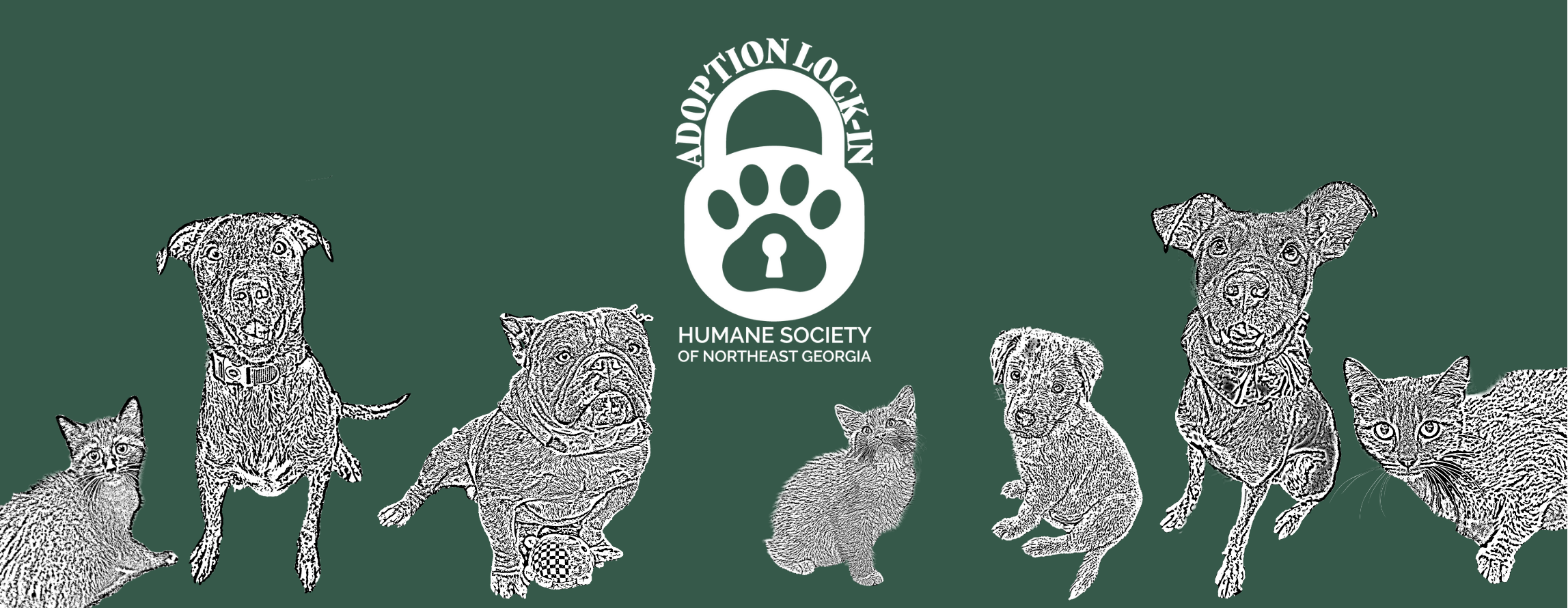 Adoption Lock-in 2025