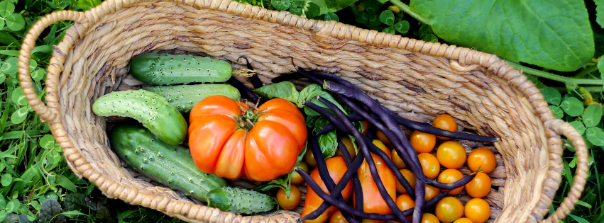 Phoenix Community Farm Greenhouse Campaign