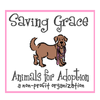 Saving Grace Animals for Adoption