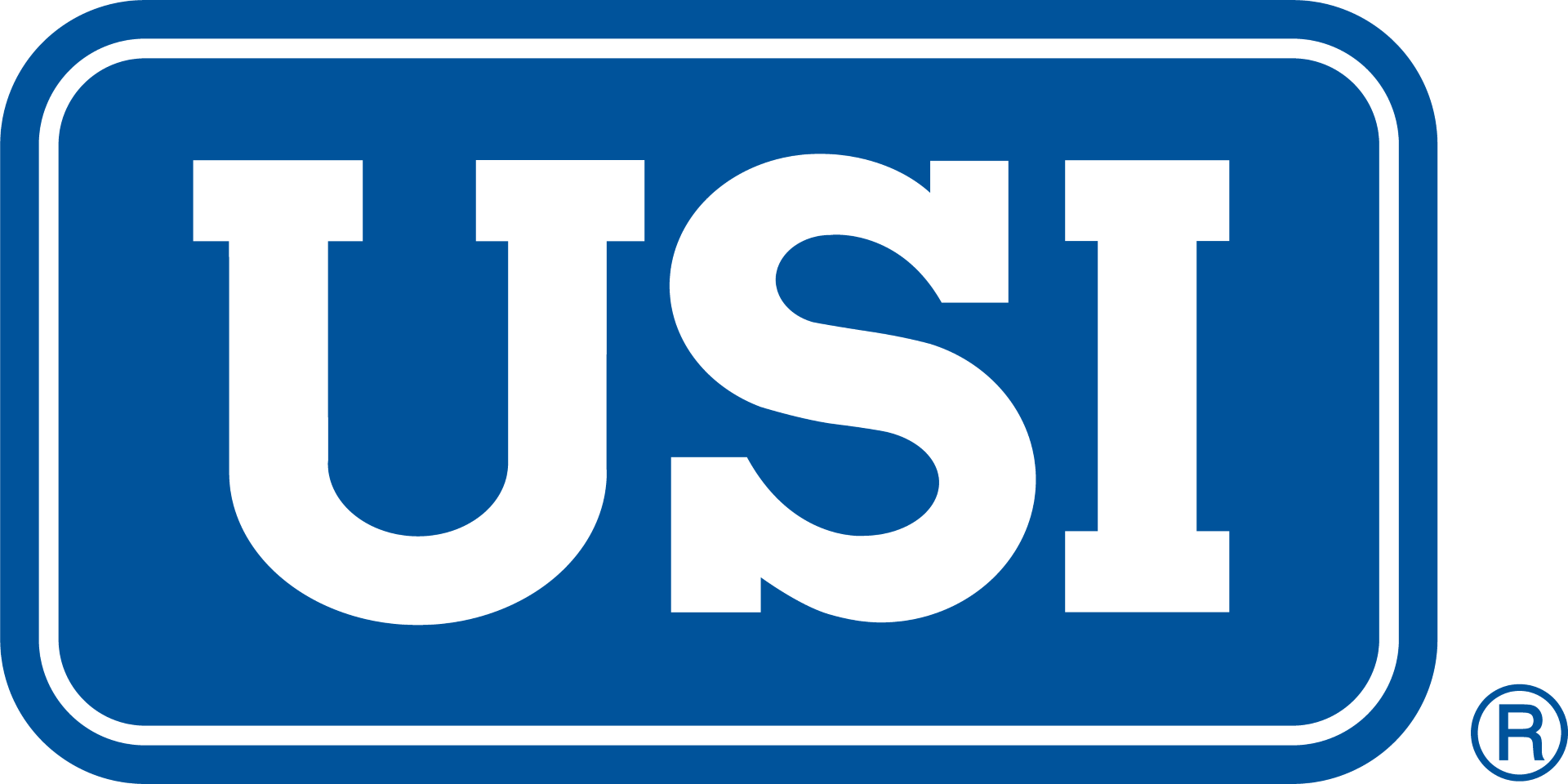 USI Insurance Services 