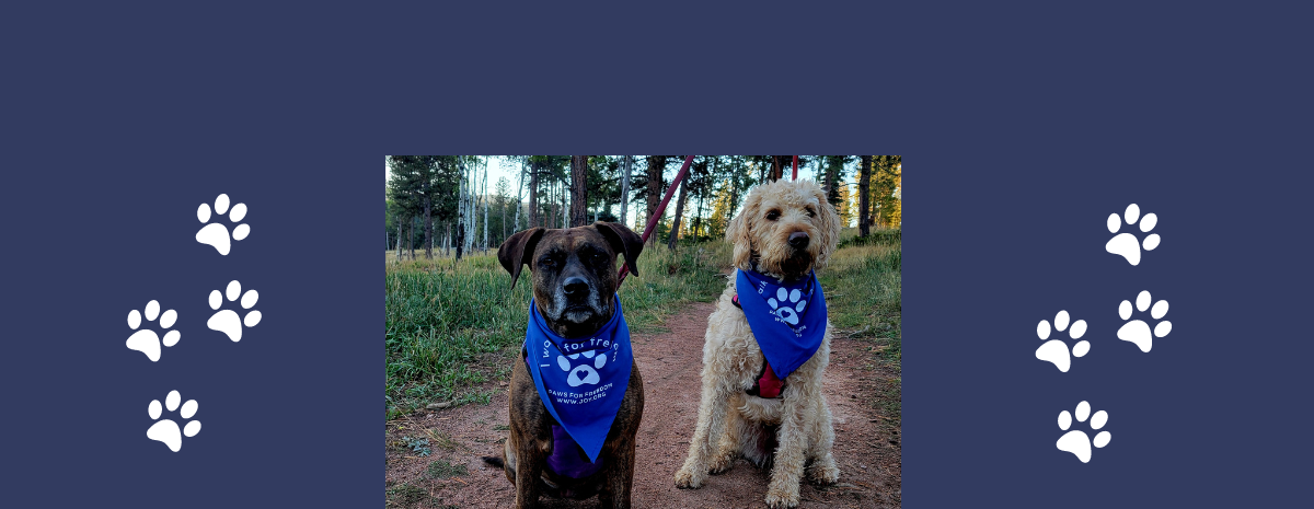 2024 Paws for Freedom