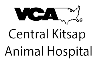 2021 Kitsap 4-H T-Shirt Contest, Kitsap County