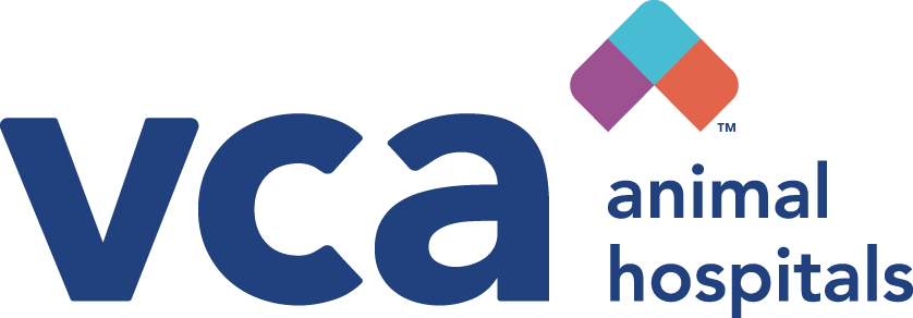 Bronze Sponsor