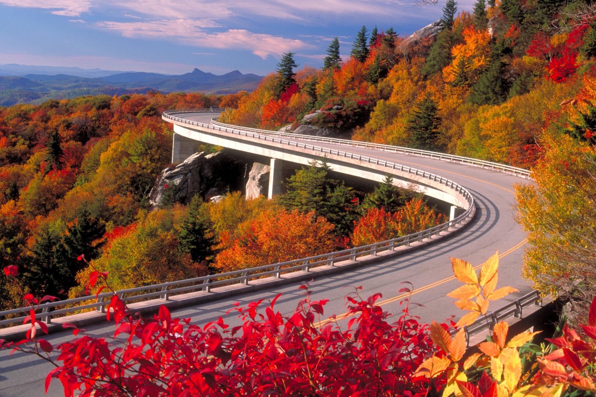 Autumn in Asheville on the Blue Ridge Parkway