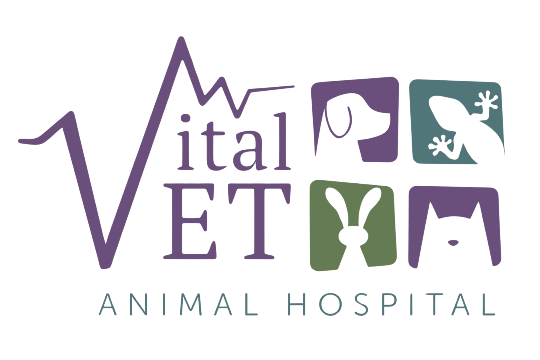 Vital Vet Animal Hospital 