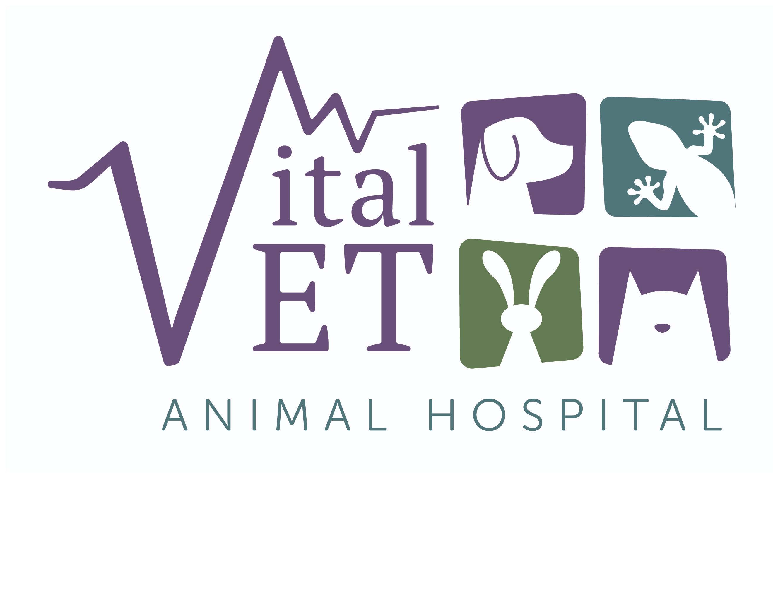 Vital Vet Animal Hospital 