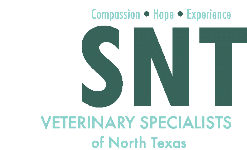 Veterinary Specialists of North Texas