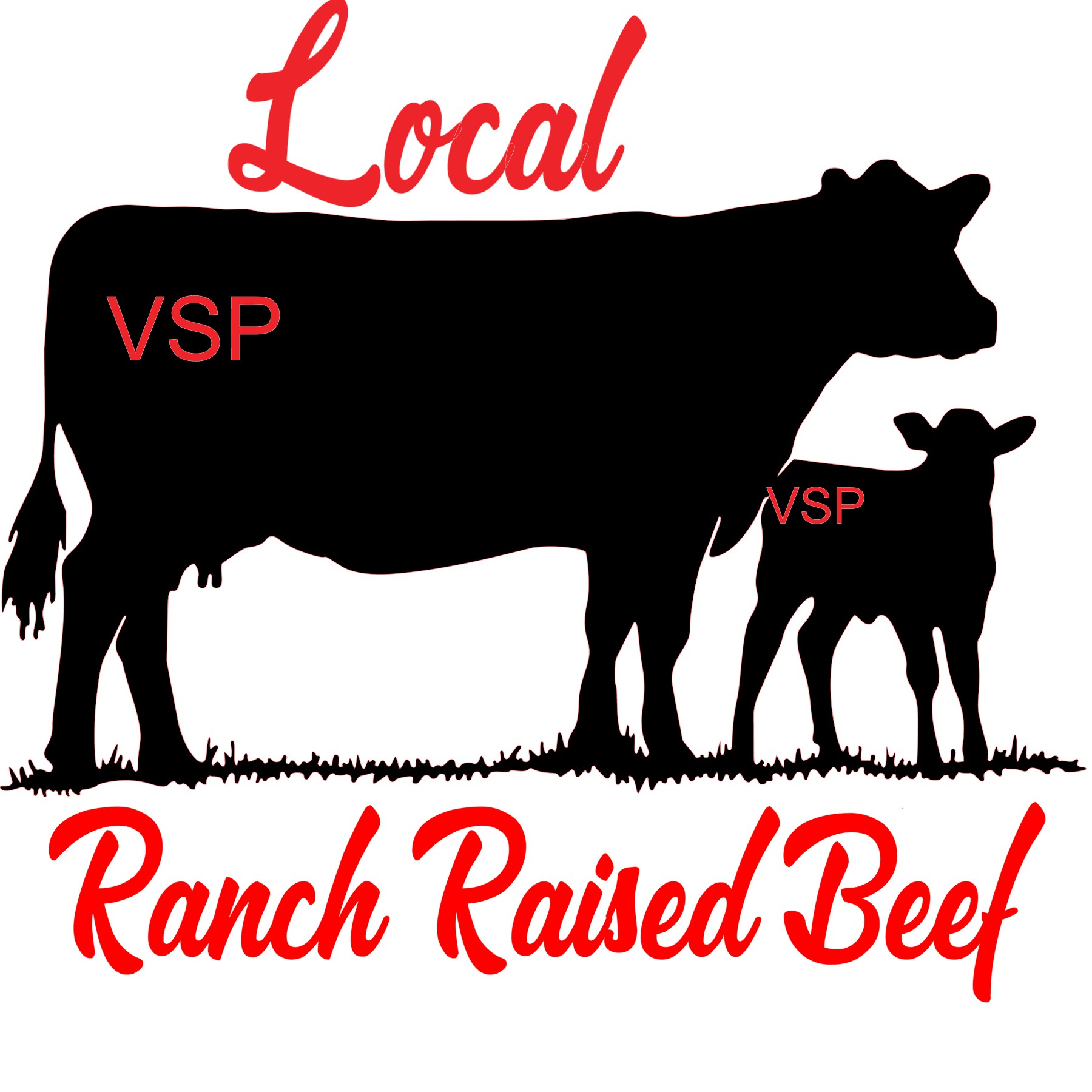 VSP Ranch Raised Beef