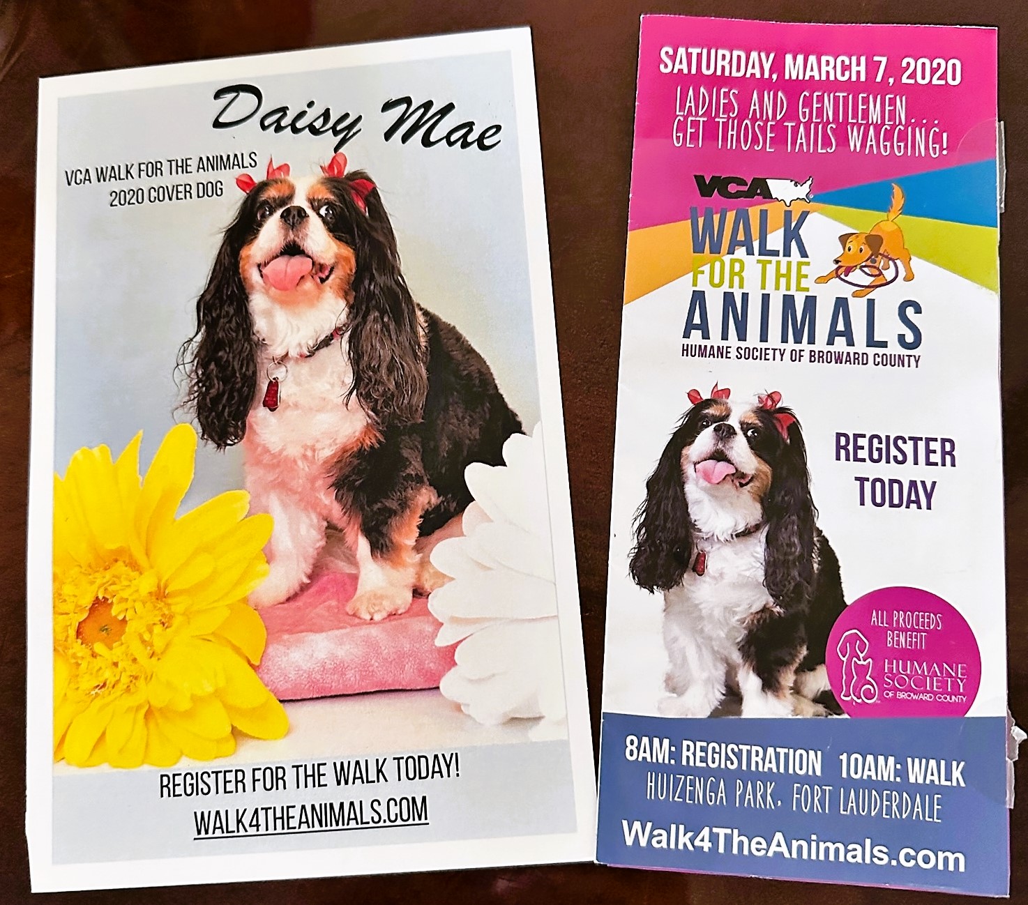 Daisy Walked for the Animals