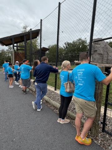 slide 13