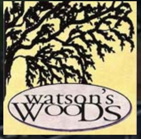 Watson's Woods