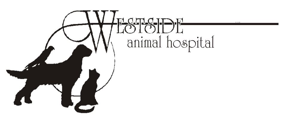 Westside Animal Hospital