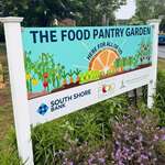 Food Pantry Garden providing fresh food to neighbors just hours after it is picked