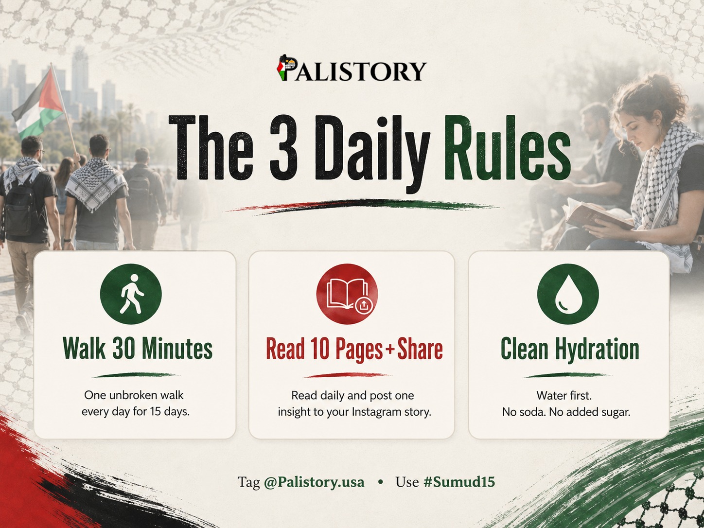 Palistory