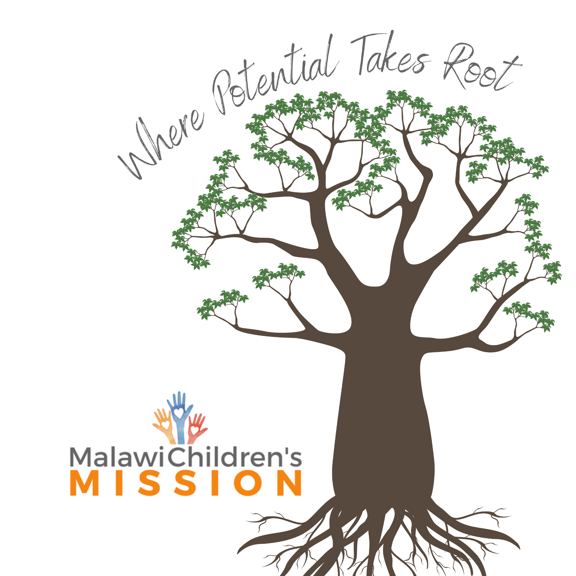 Malawi Children's Mission 