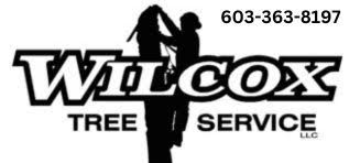 Wilcox Tree Service