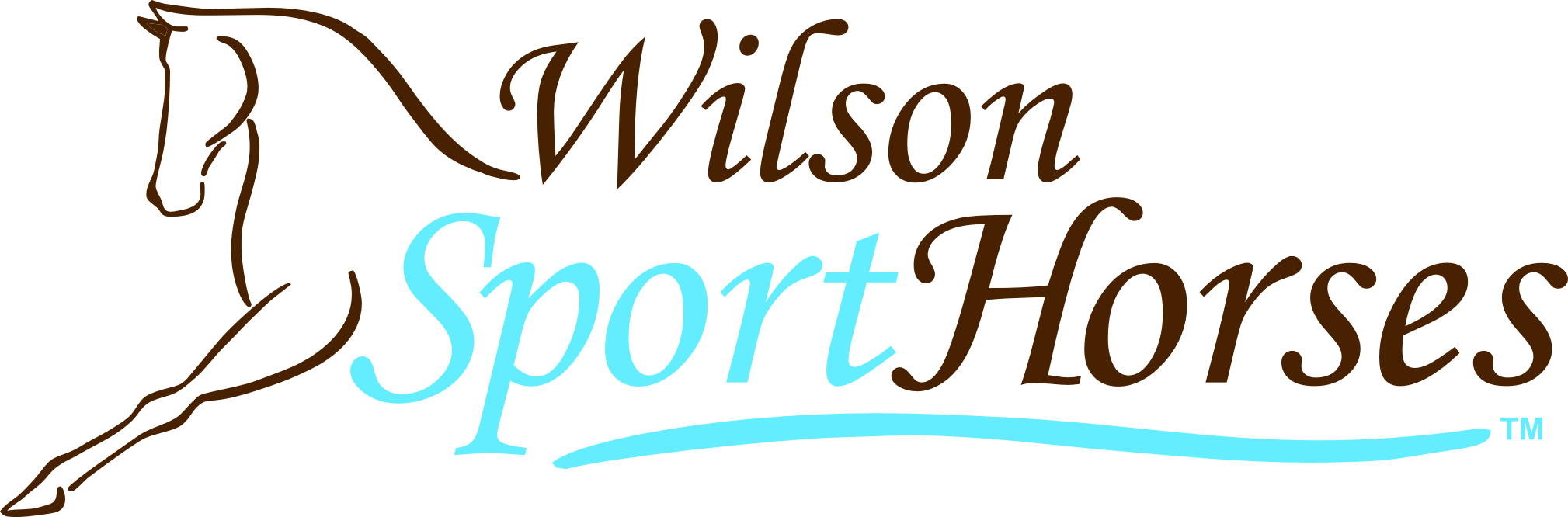 Wilson Sport Horses