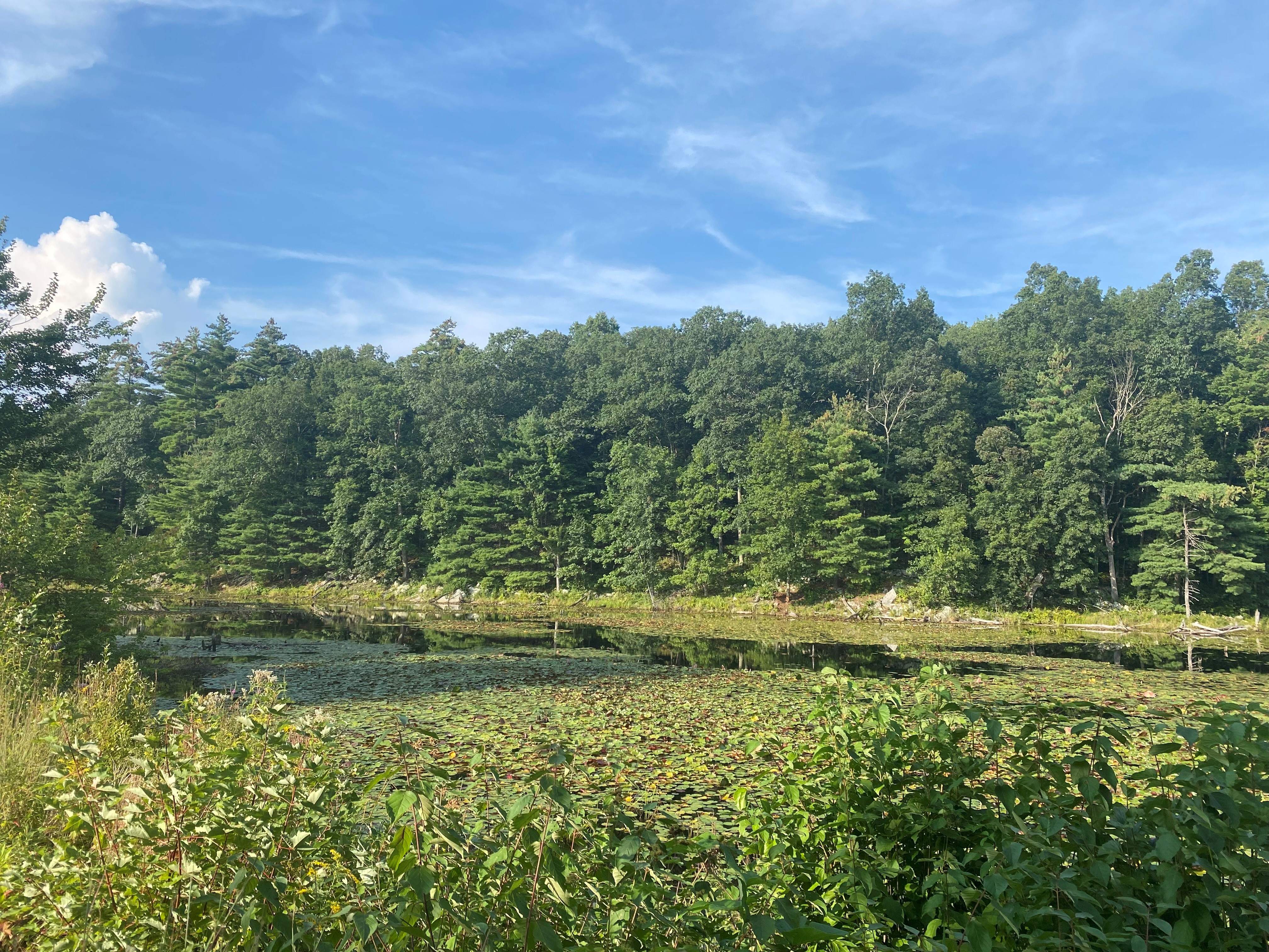 September 9, 2023-Windham, NH Rail Trail