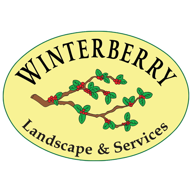 Winterberry