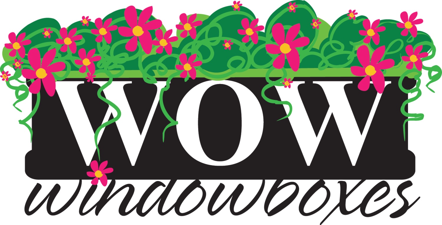 WOW Windowboxes