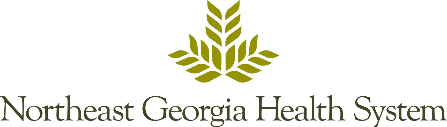 Northeast Georgia Health System