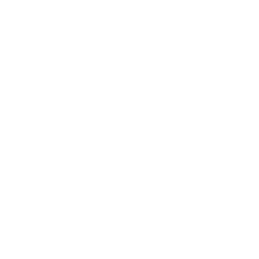 Youth Mentoring Connection