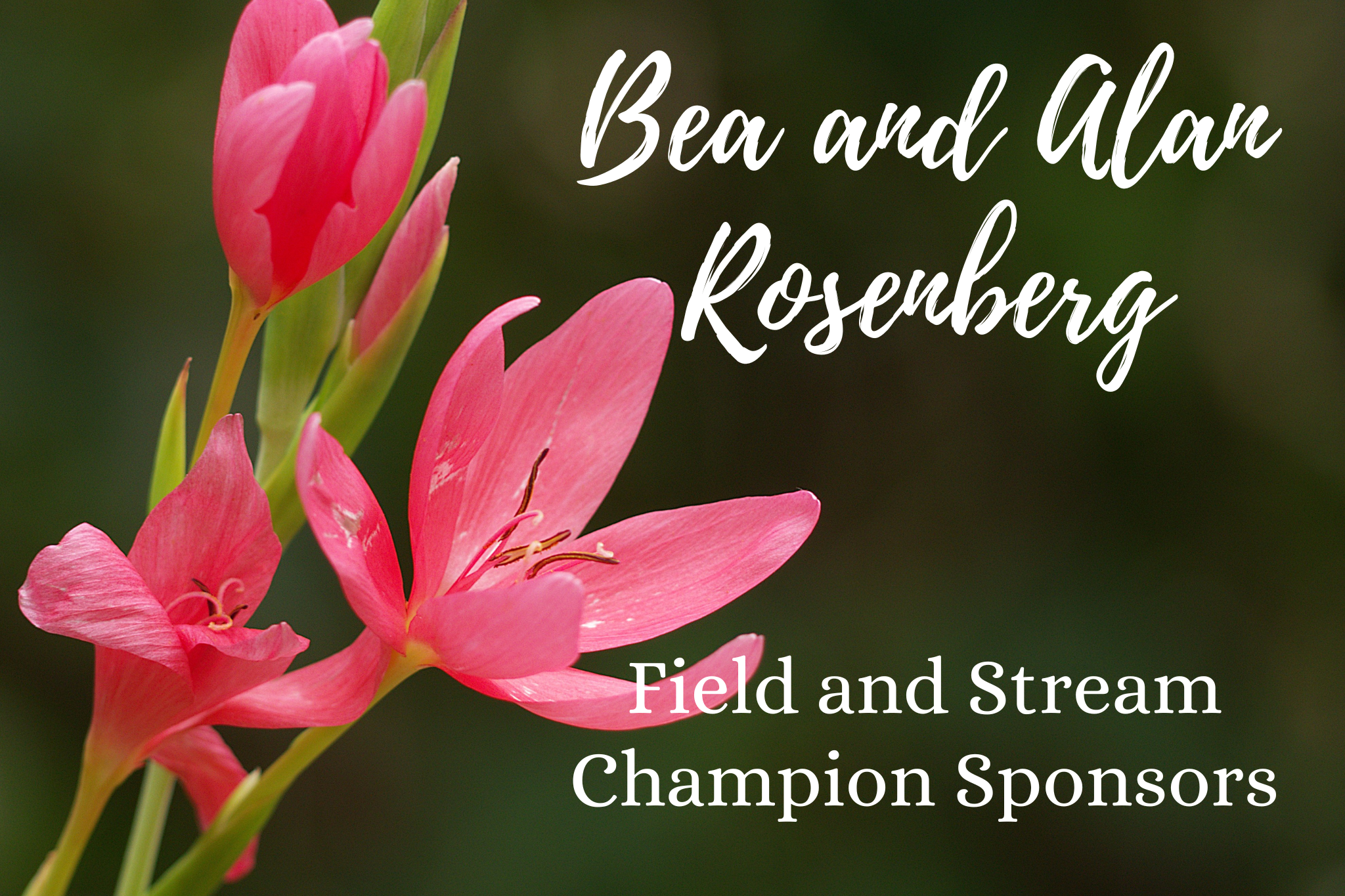 Bea and Alan Rosenberg