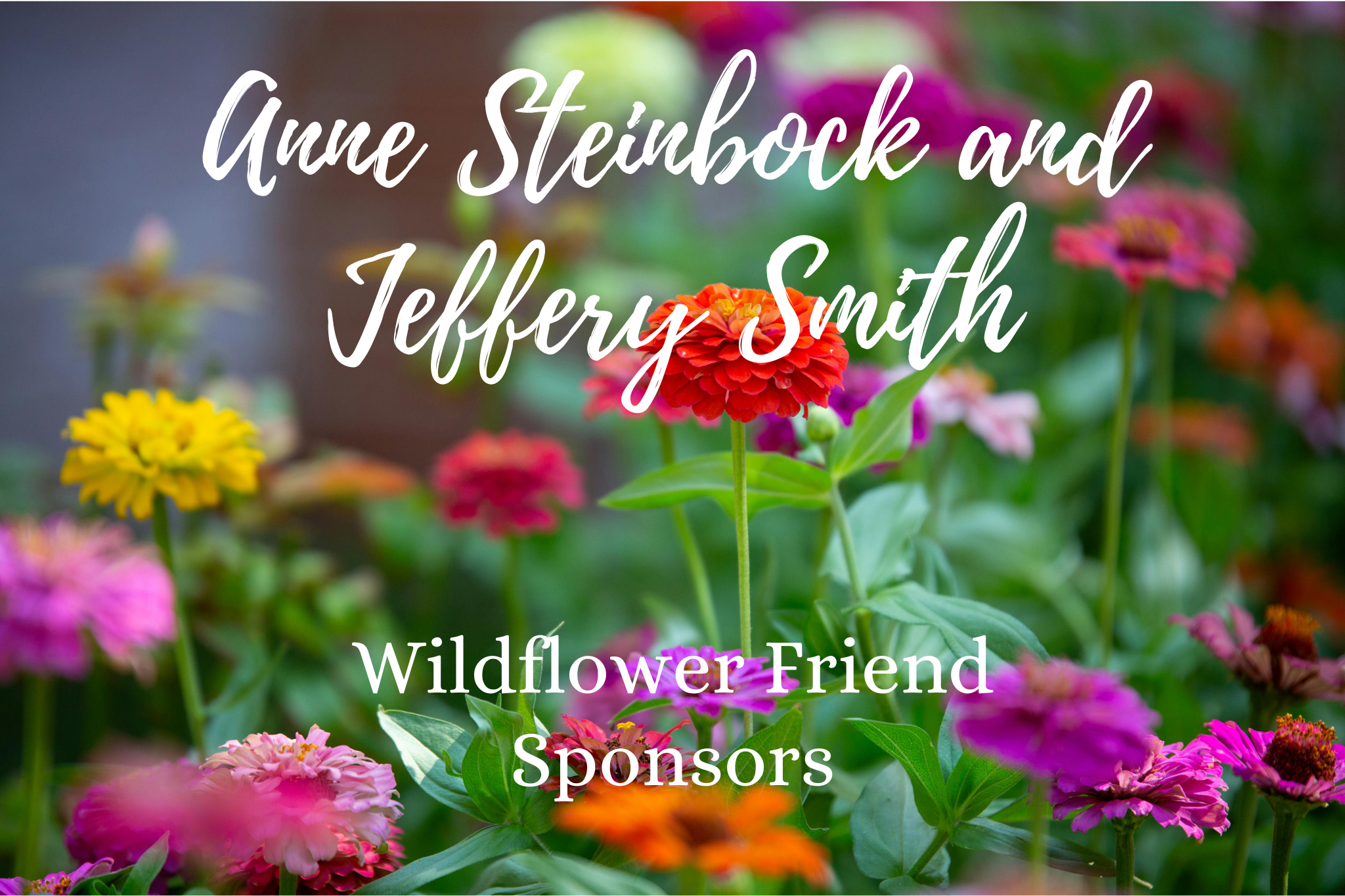 Anne Steinbock and Jeffery Smith