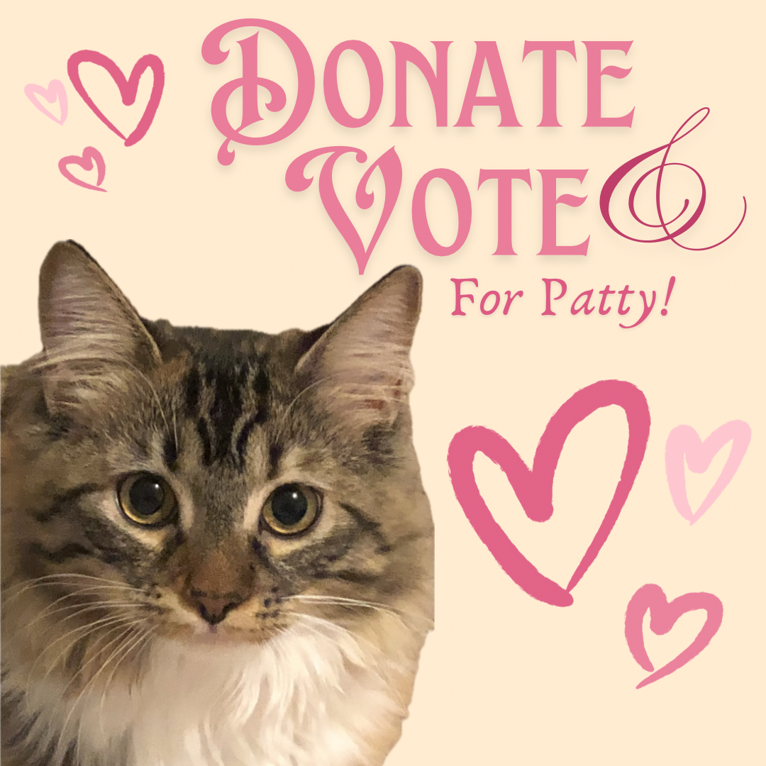 Donate & Vote for Patty!