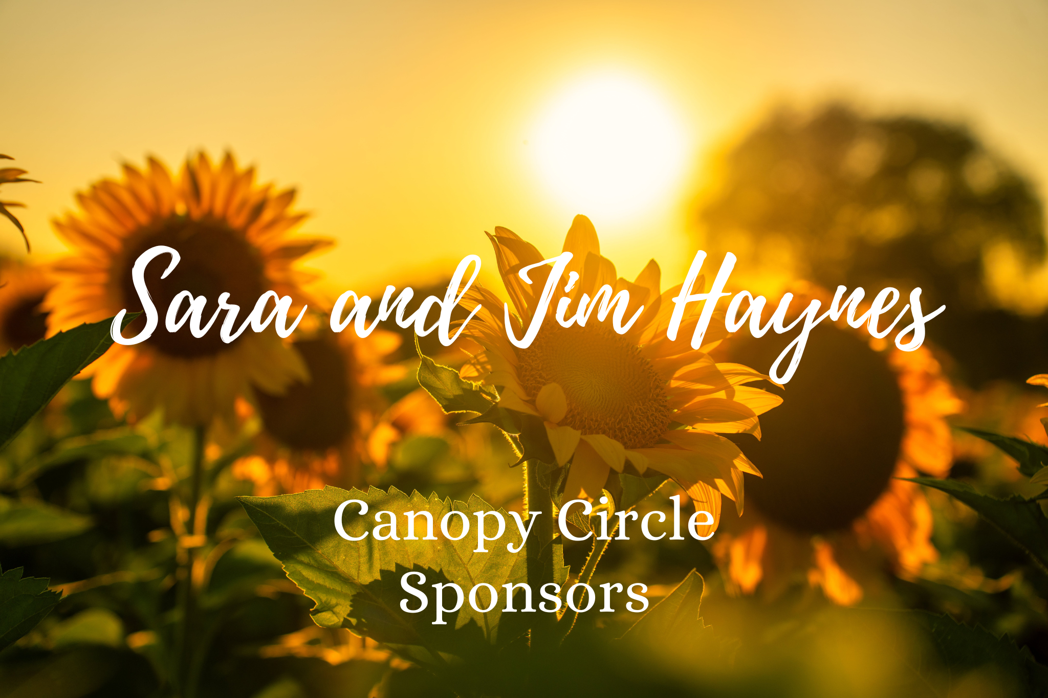 Sara and Jim Haynes