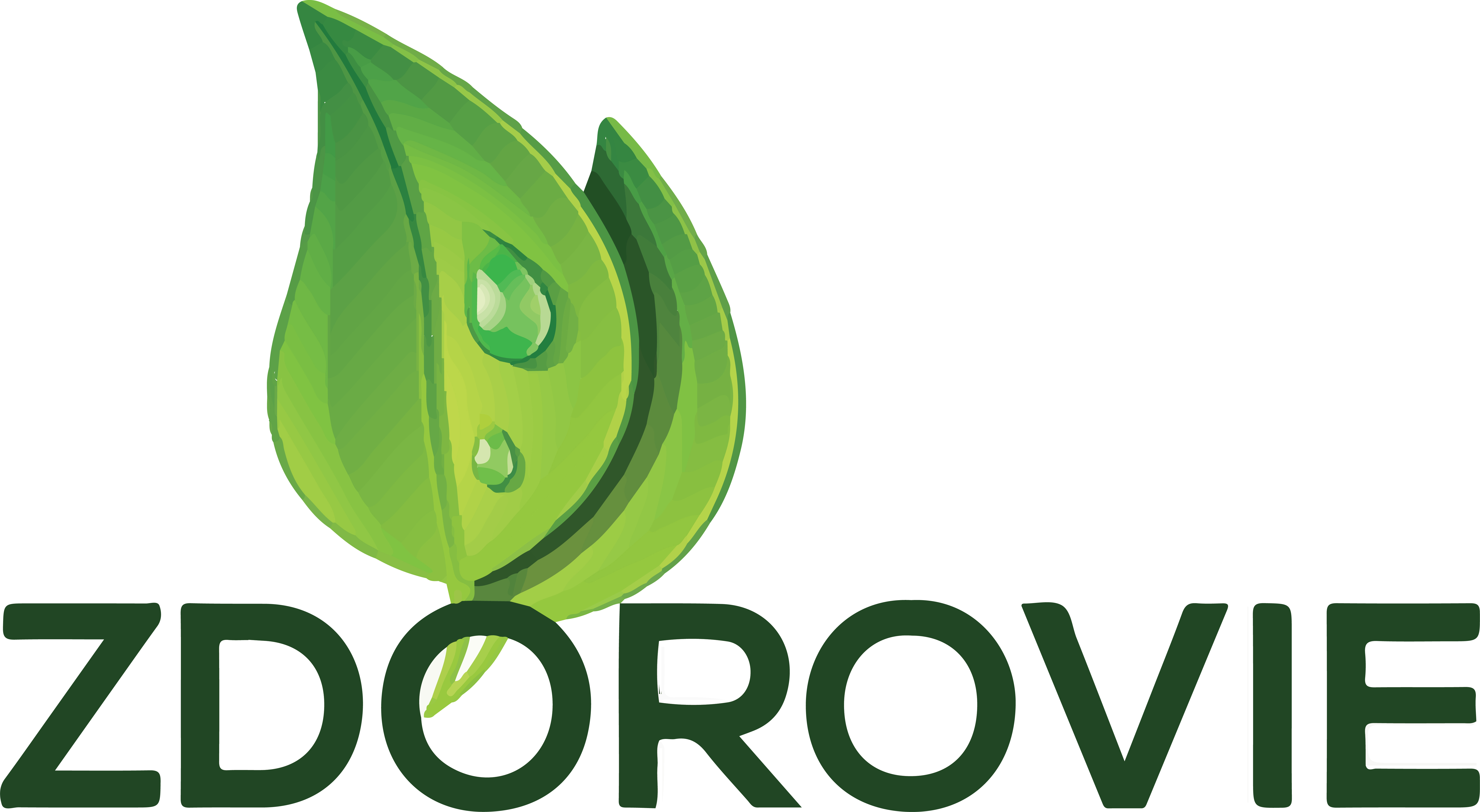 Zdorovie Adult Day Health Center